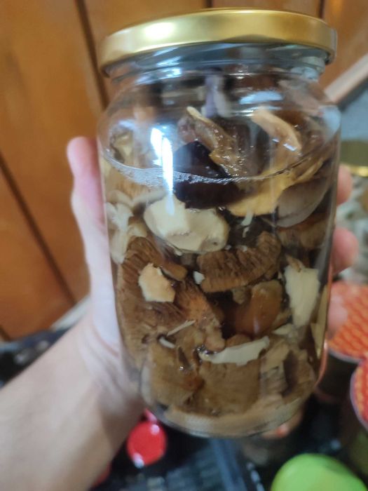 гъби буркани прясна замразена суха манатарка сърнела сладко консерва