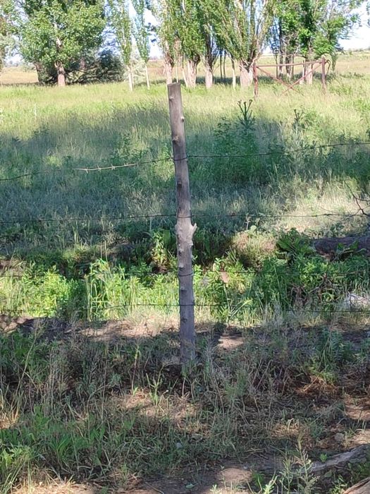 Продам Участок КХ 69га