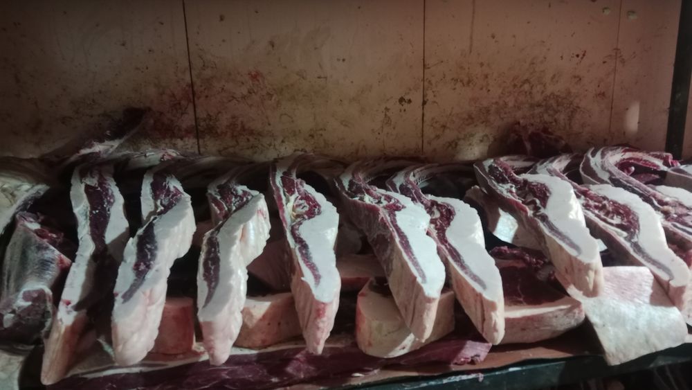 Жылқы еті сатылады.  Бие 5жасар байтал