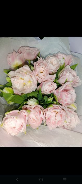 Букеты тюльпанов к 8 марта