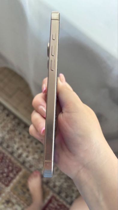16 pro max 256 gb