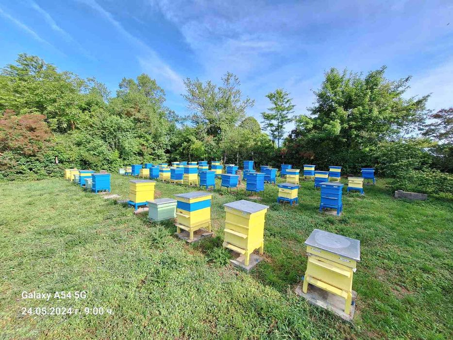 Продава се Къща в Исперих - 1151 кв.м за 10 €/кв.м - Снимка #3