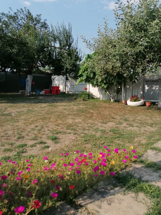 Casa batraneasca in Cosmesti Vale - teren generos, zona linistita