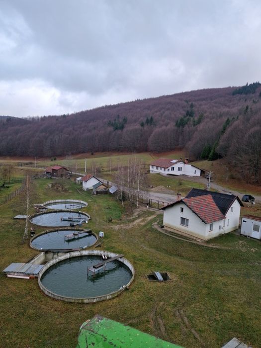 LANGA BRAȘOV, casa de vacanță, PĂSTRĂVĂRIE,iaz cu pești, CASUTA cu ter