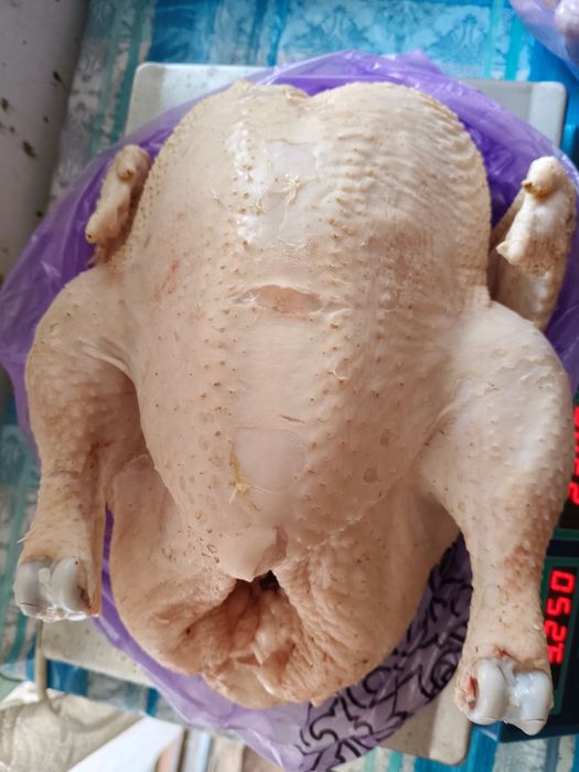 Мясо домашнего бройлера