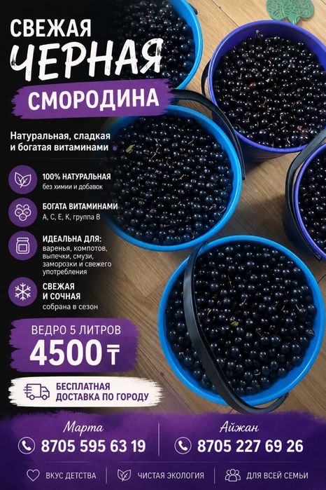 СМОРОДИНА  Степногорск
