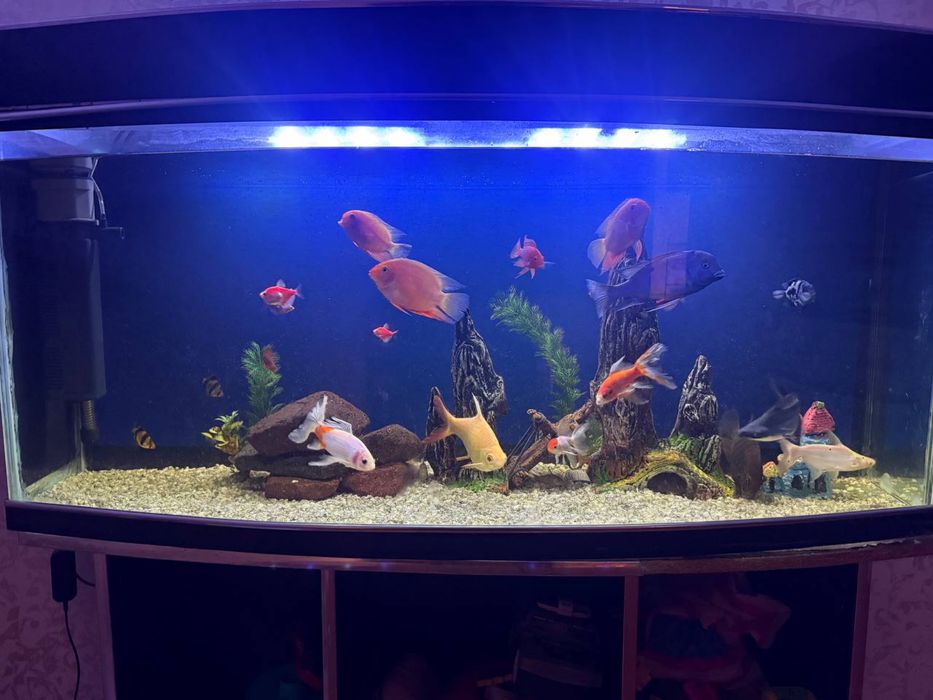 Akvarium 260L