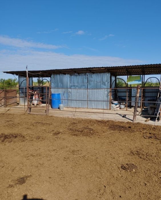 Продам Крестьянское хозяйство