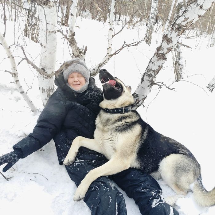 Щенки восточно-европейской овчарки