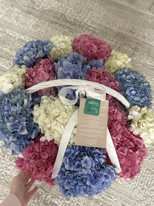 Цветы. Гортензия