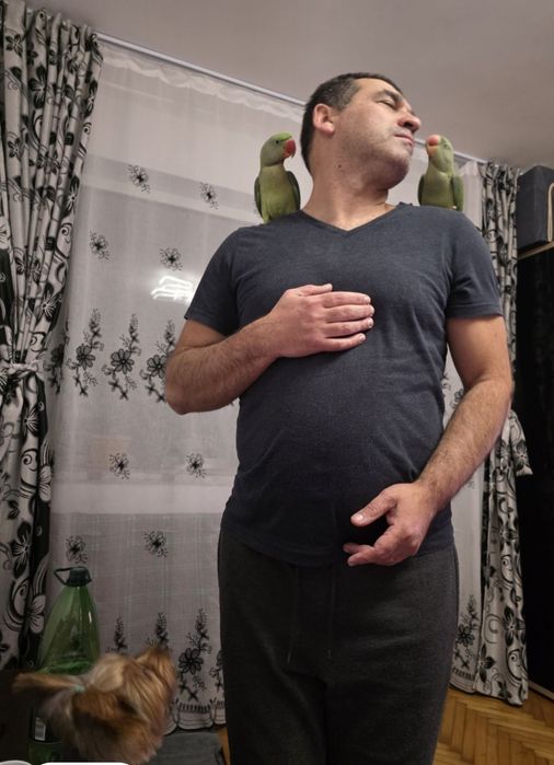 Papagali Marele Alexandru