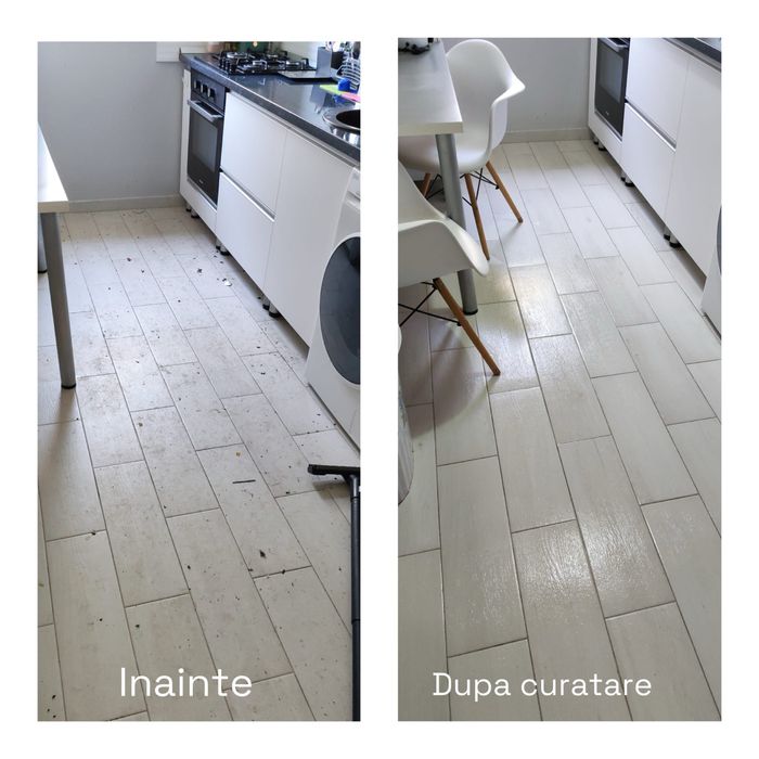 Curatenie la domiciliu , facuta cum trebuie