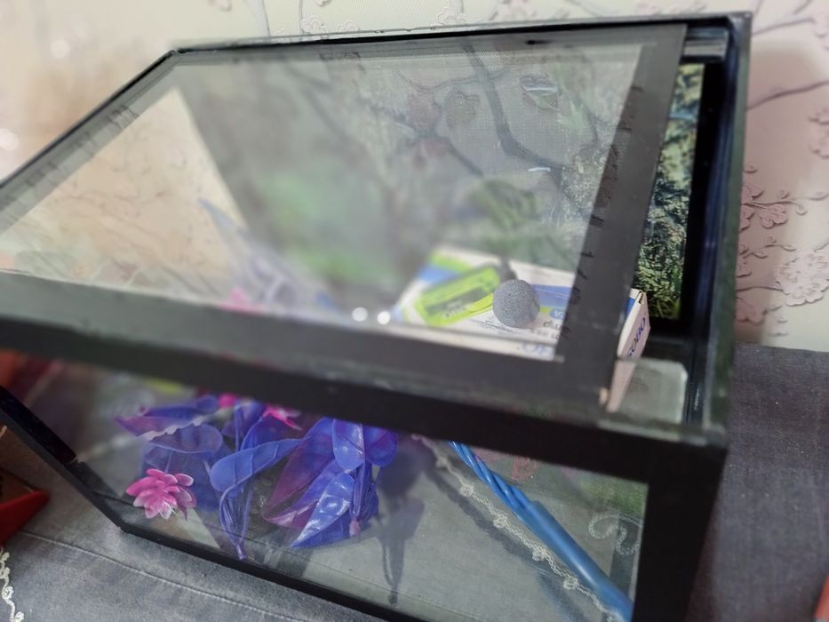 Baliqlar uchun akvarium