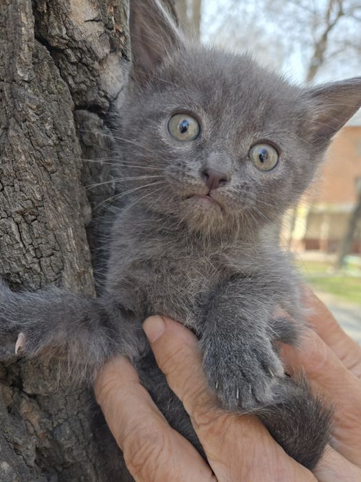 Пролам не дорого