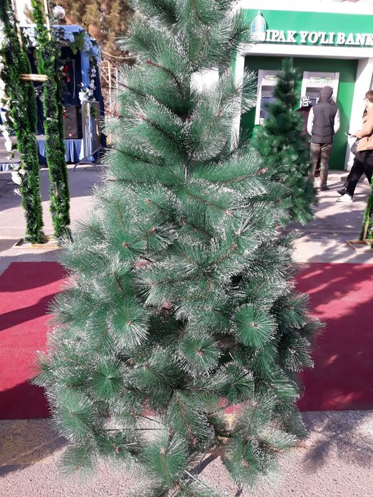 Продаётся ёлка в Чирчике
