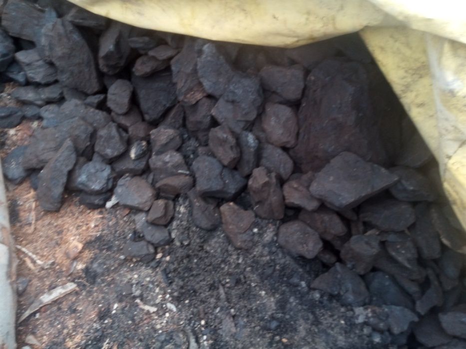 Cărbune lignit selectat