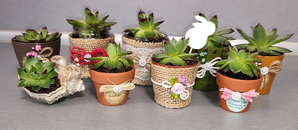 Малки подаръчета за гости за всеки повод