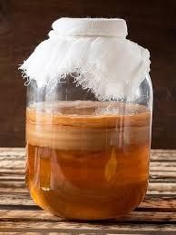 Чайный гриб / камбуча