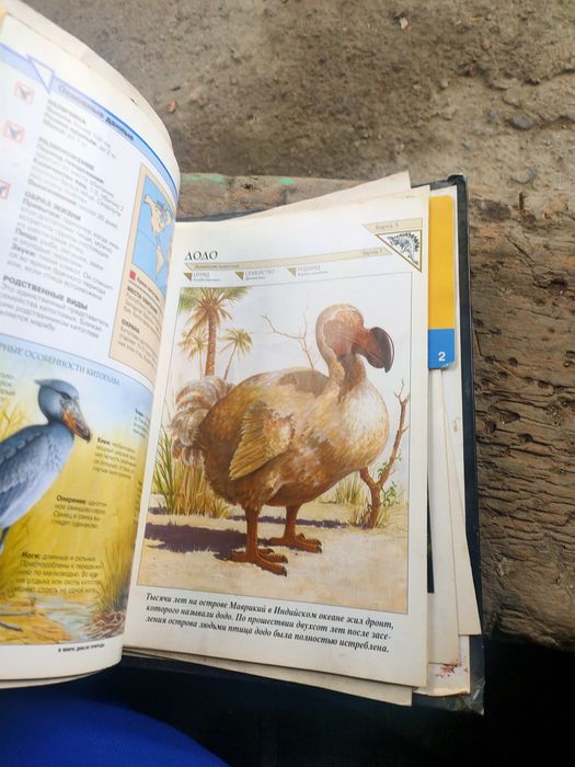 Продам журнал про животных