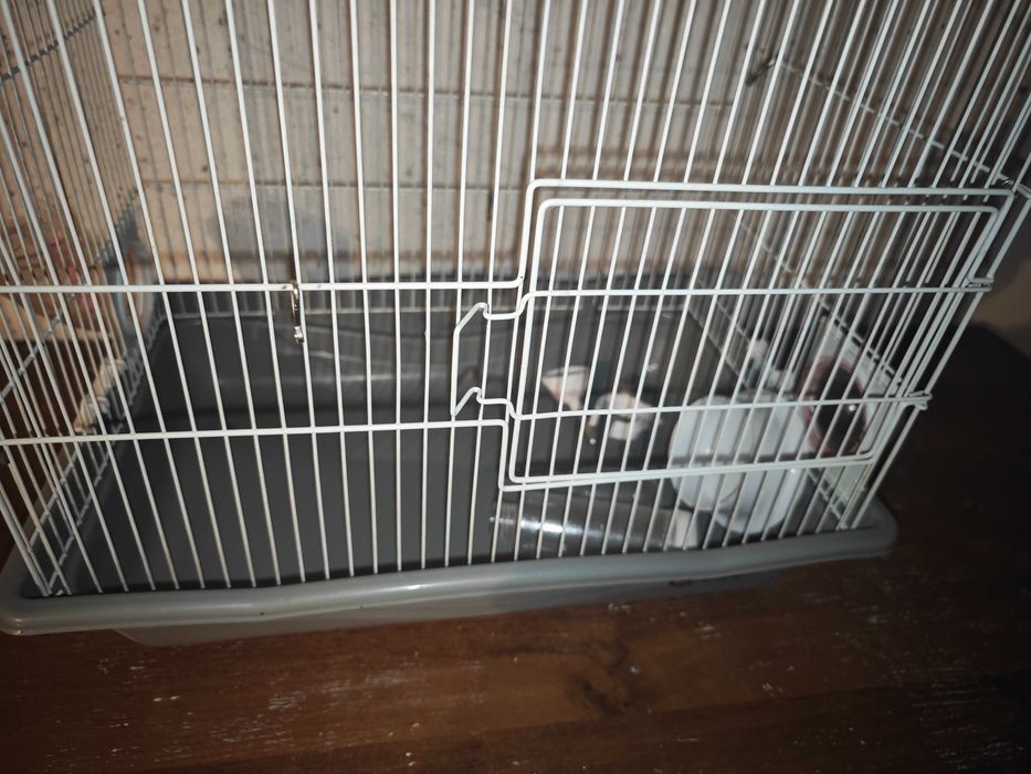 Клетка бу станция метро Москва