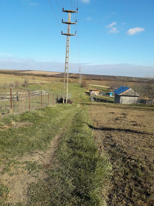 Vând teren intravilan în Tg.Frumos