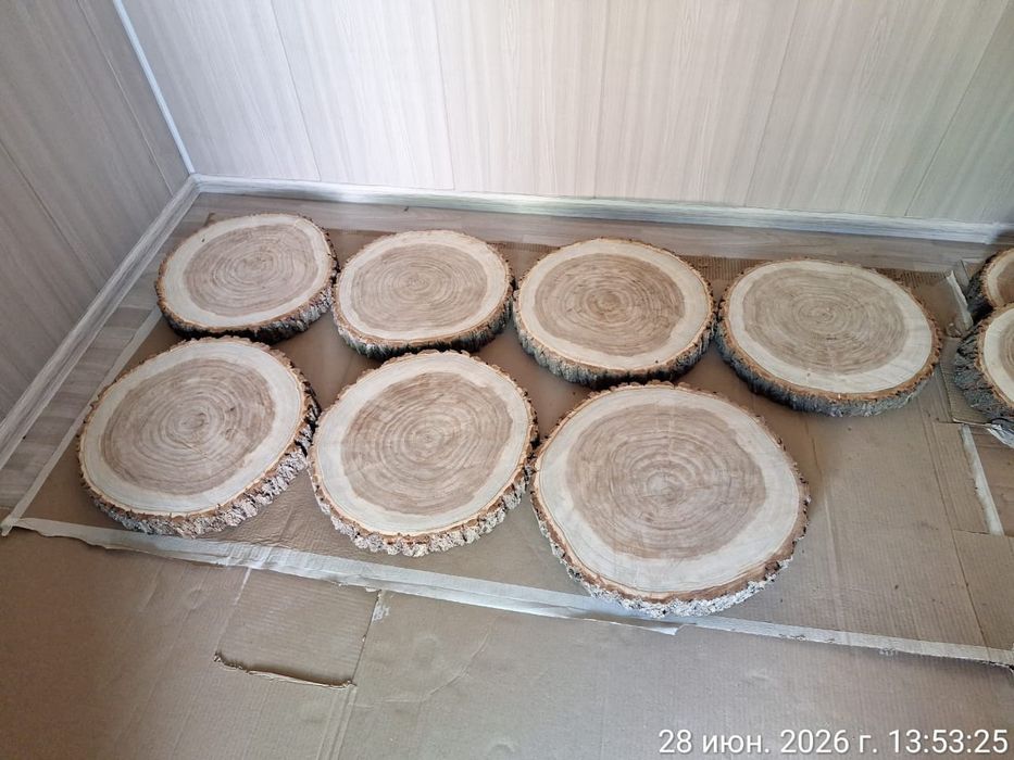 Продам карагач пеньки