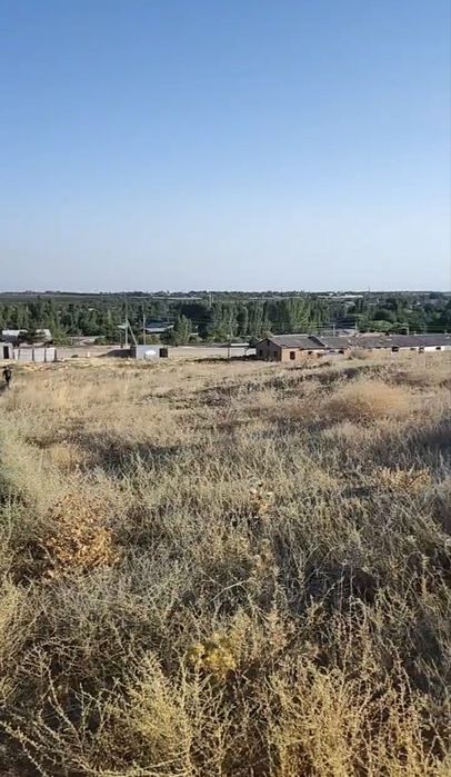СРОЧНО! 4 Гектара в Кибрае по цене ниже рынка