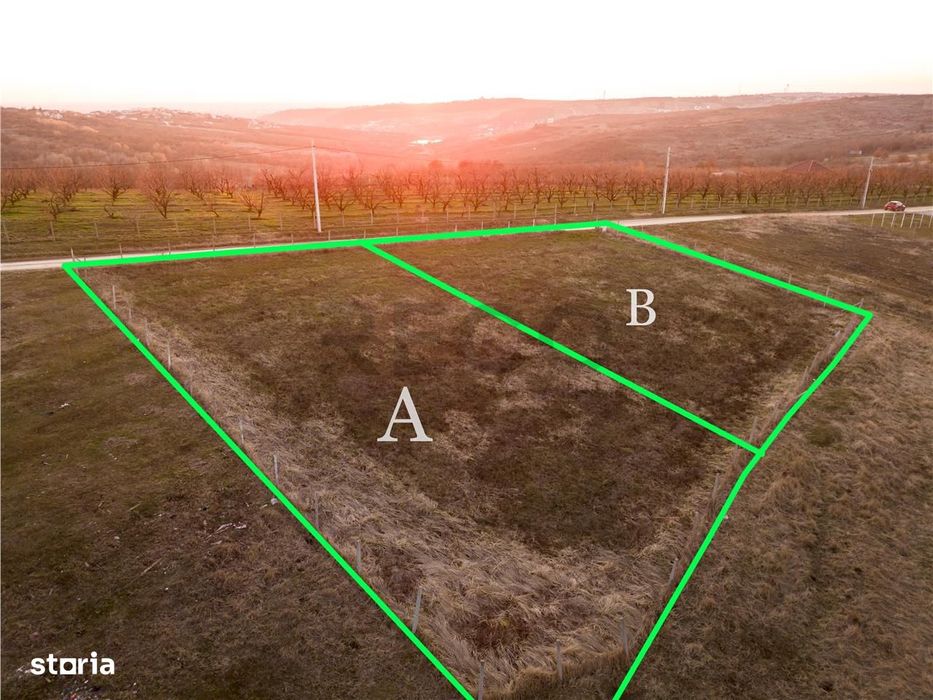 RECO Teren intravilan in Saldabagiu de Munte