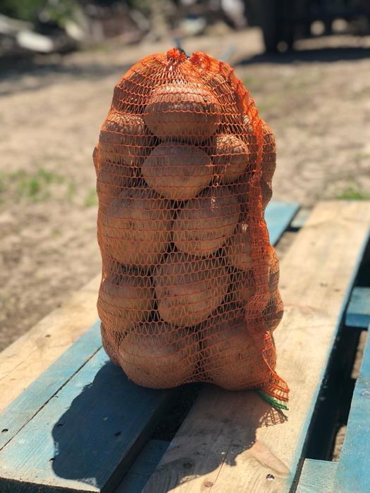 Vand cartofi de consum