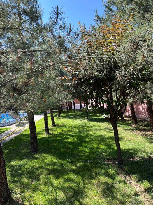 Сдаеться Евро Дача в тузеле