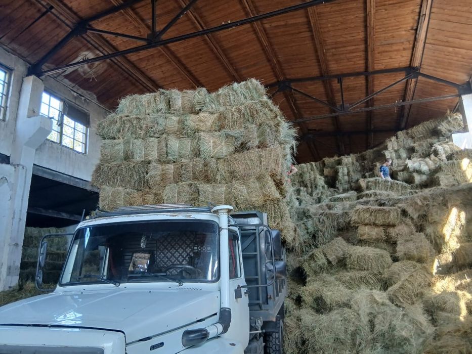 Продам сено летнее