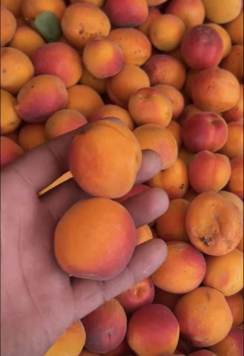 Vand. Caise. De tuica. Palinca. Dulceata etc.