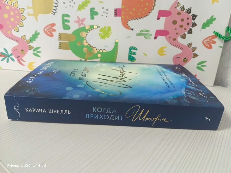 Книга "Когда приходит шторм"