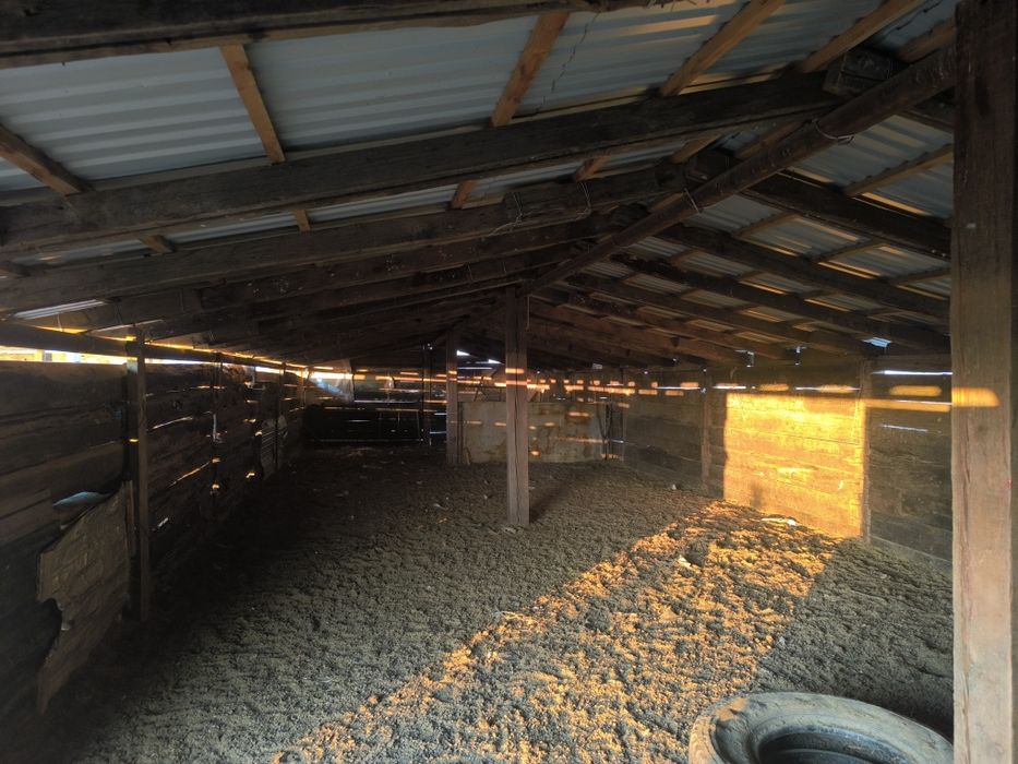 Фазенда 1000 гектар