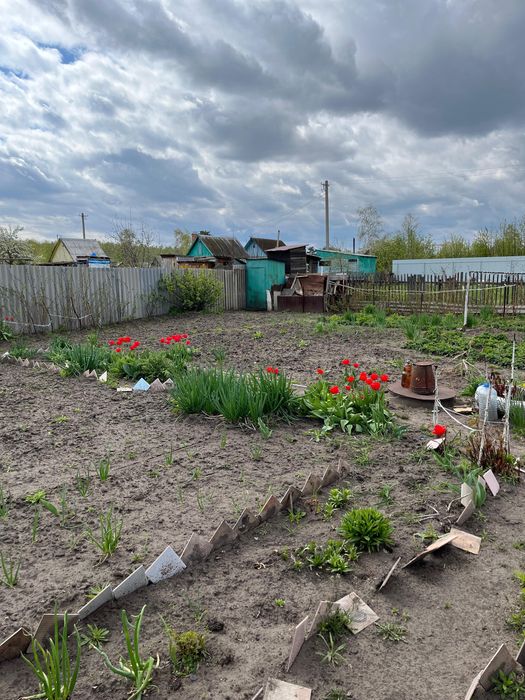 СРОЧНО Продам Дачу, на Белом ,сад.общество Сансевьера