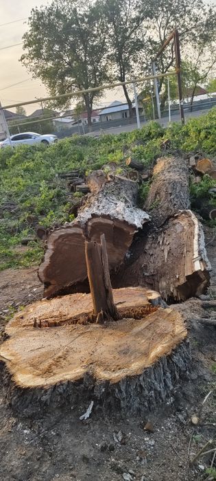 Әлемнің секс видео самай млинкай письки