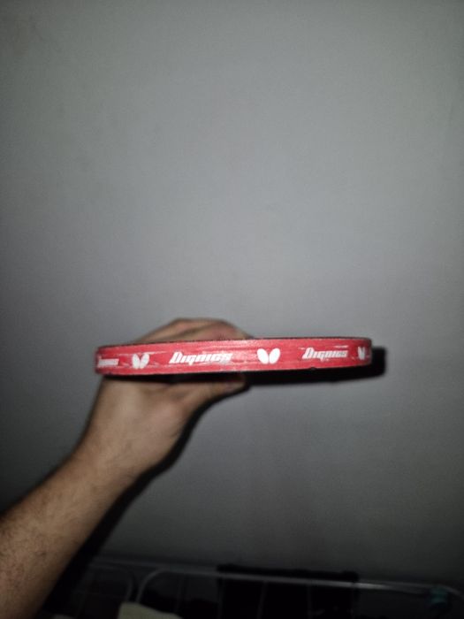 Ракетка Вискария