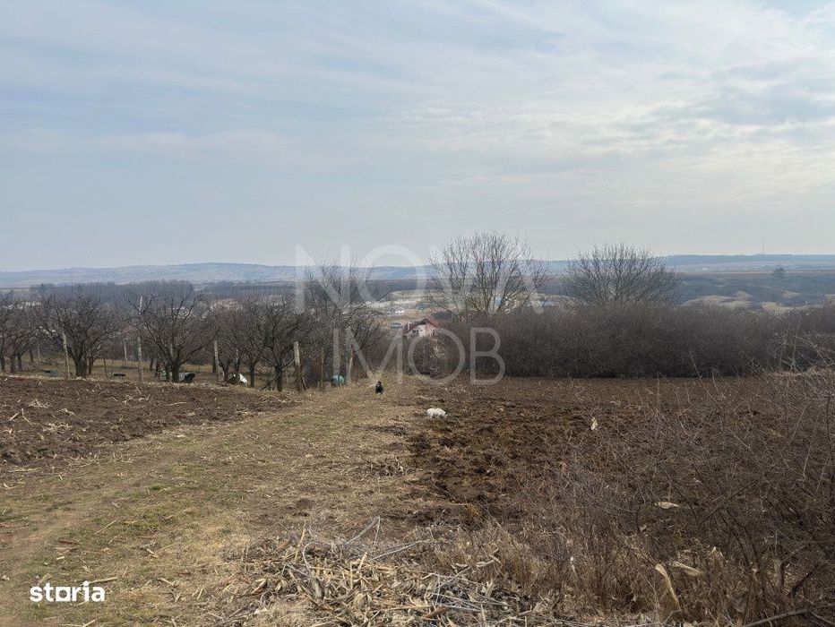 Teren de vanzare in Ocna Sibiului – Locatie premium langa lacurile s