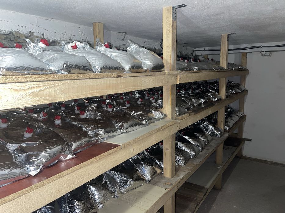 Suc de mere fabricat in Cartisoara