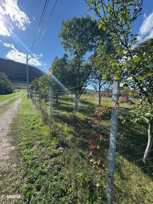 Teren intravilan 500mp Saratel