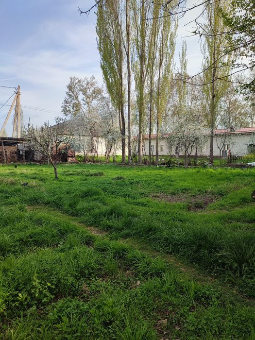 Ер сотилади юкоричирчик тумани 80 ота