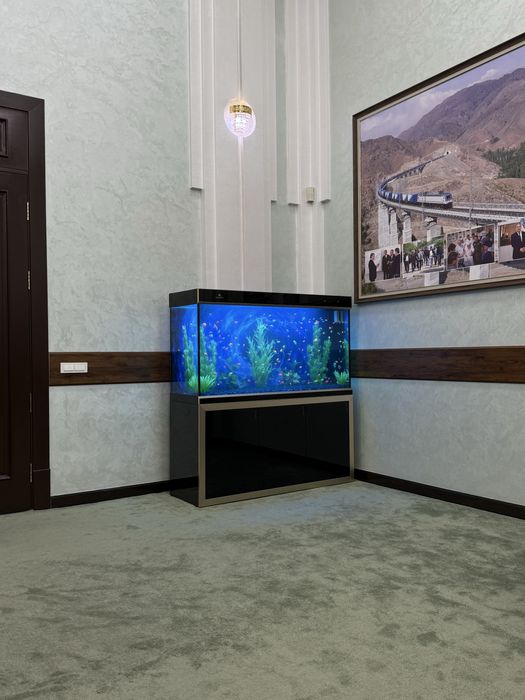 Обслуживание морских и прессных аквариумов,Чистка аквариумов