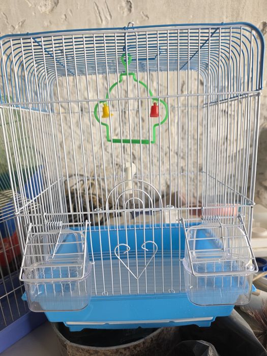 Клетка янги ишлатилмаган