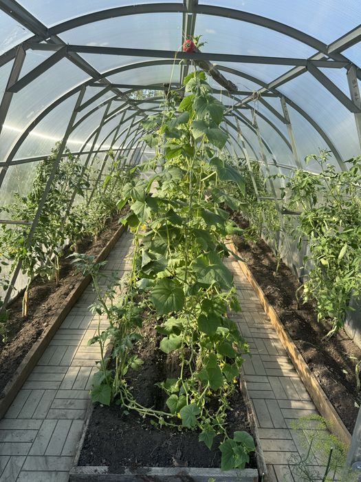 Продам дачу ухоженная