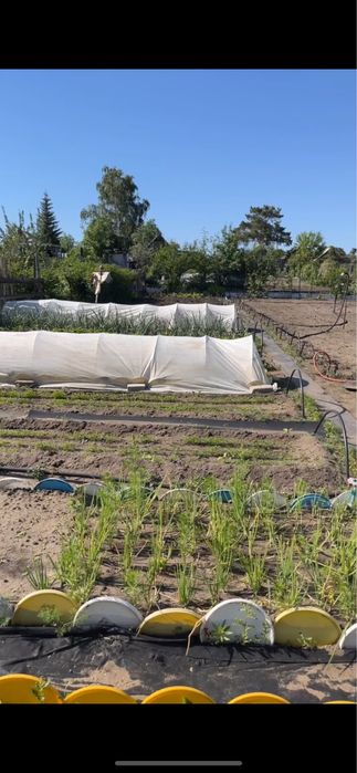 Продам дачу с бассейном