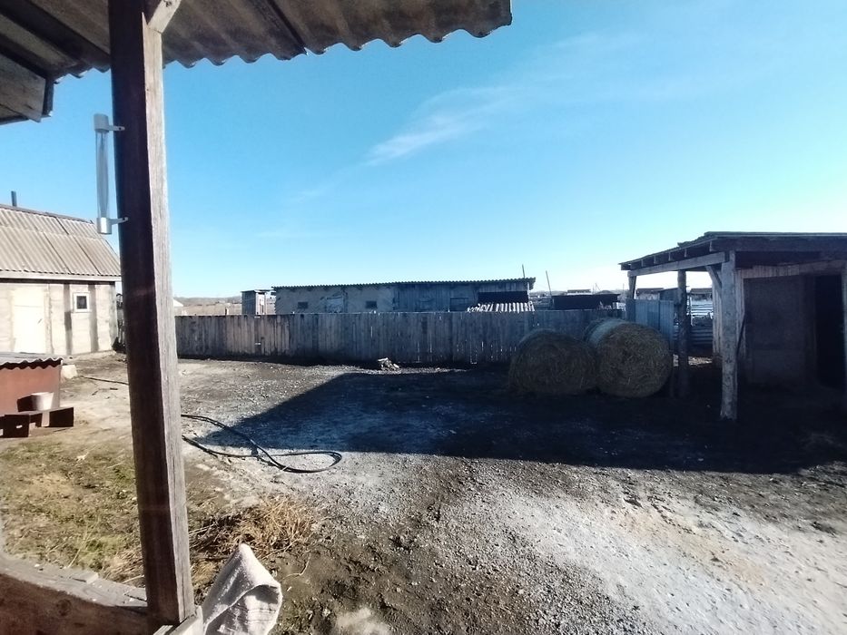 Продам дом  с. Шаховском