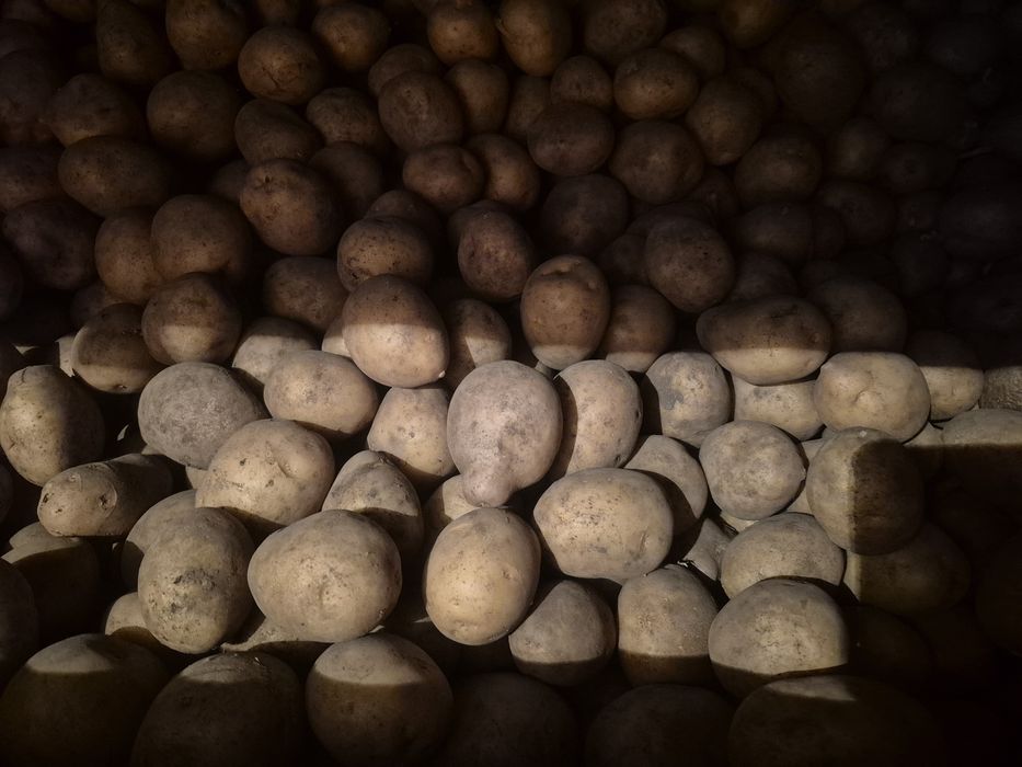 Продаю домашний картофель