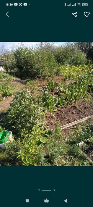 СРОЧНО за 2 дачи вместе с ДОКУМЕНТАМИ по зерендинской трассе