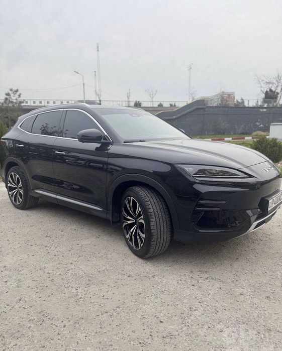 Arenda BYD Champion