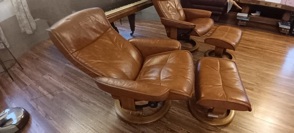Fotolii piele naturala extensibile colectie